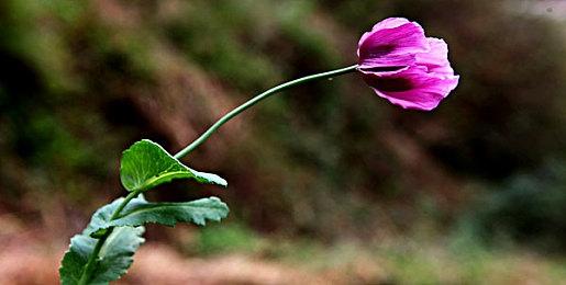 华纳兄弟游戏部门重组 今后将专注于四大核心IP